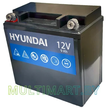 Бензиновый генератор Hyundai HHY 9550FE-ATS картинка 5